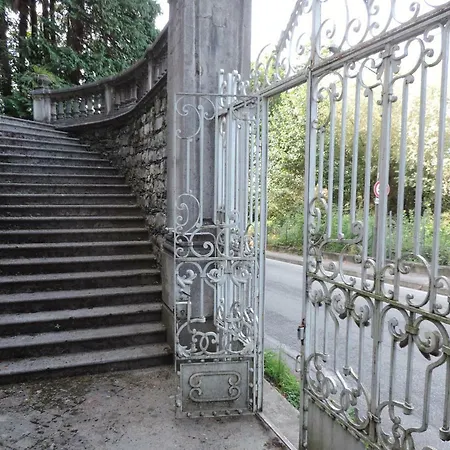 Faggio E Tasso Reno Di Leggiuno