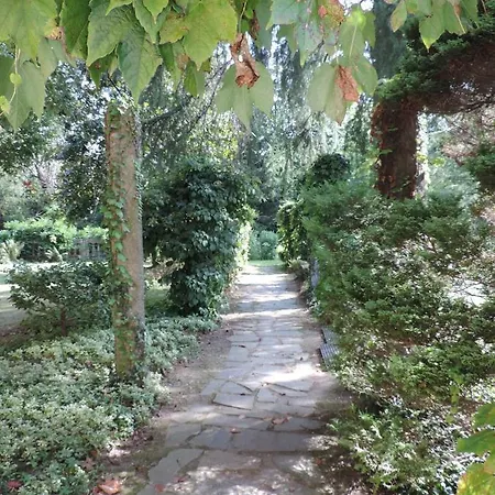 Faggio E Tasso Vila Reno Di Leggiuno